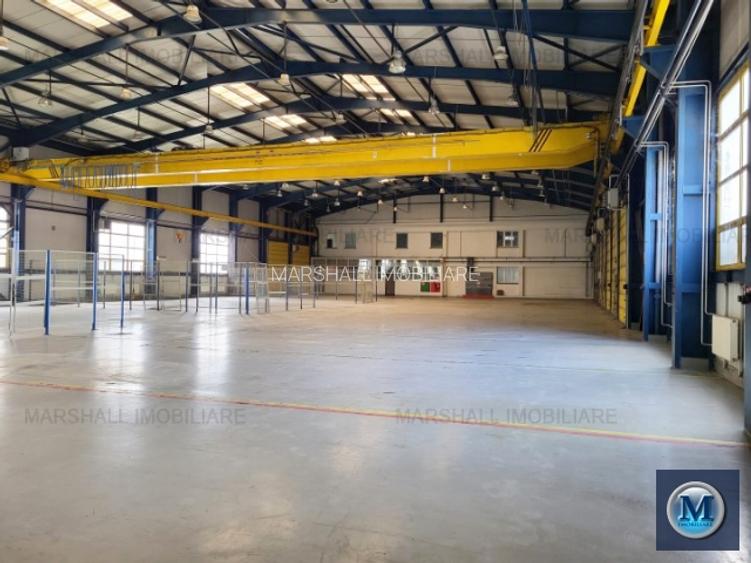 Spatiu industrial de vanzare in Campina, zona Central, 4600 mp #16268 - 10