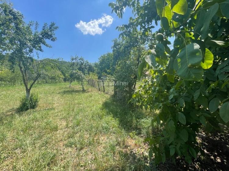 Teren 4.684 mp cu construcție existentă – Mălureni, Argeș - 11