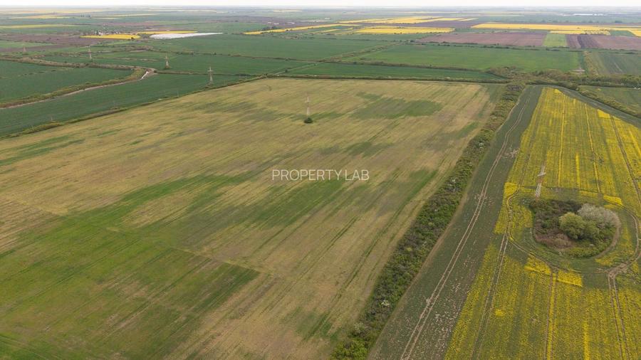 Teren investițional strategic 44.700 mp Arad Vest - 10