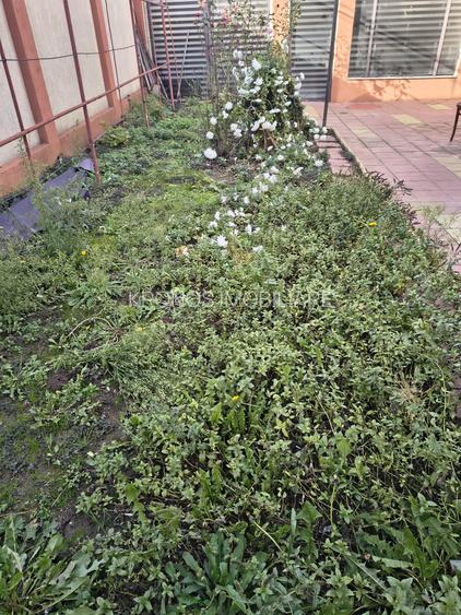 UNIVERSITATE CASA DE CARAMIDA CU 2 CAMERE 176 MP PRET 235000 EURO - 12