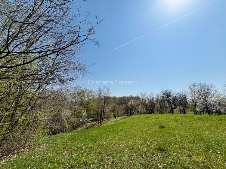 Teren 3.800 mp | Pucioasa, Dâmbovița | Natură, liniște și acces dublu - 4