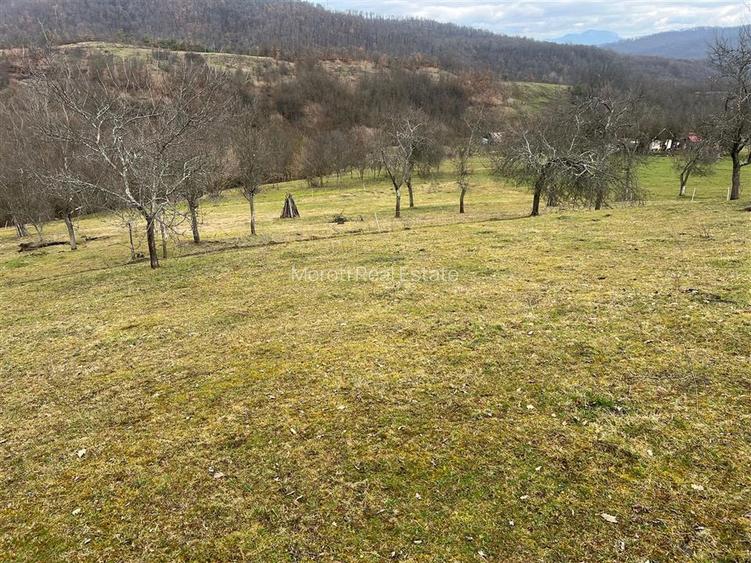 Teren intravilan si extravilan Luncoiu de Jos - 13