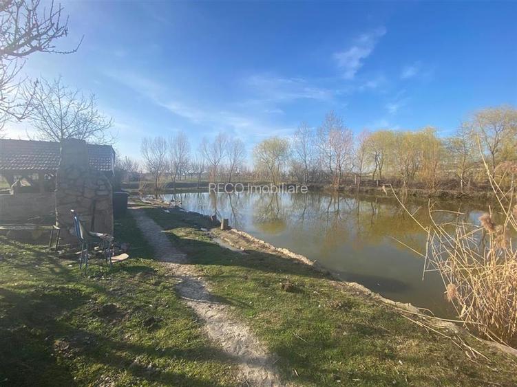 RECO casa de vacanta  Episcopia - 9