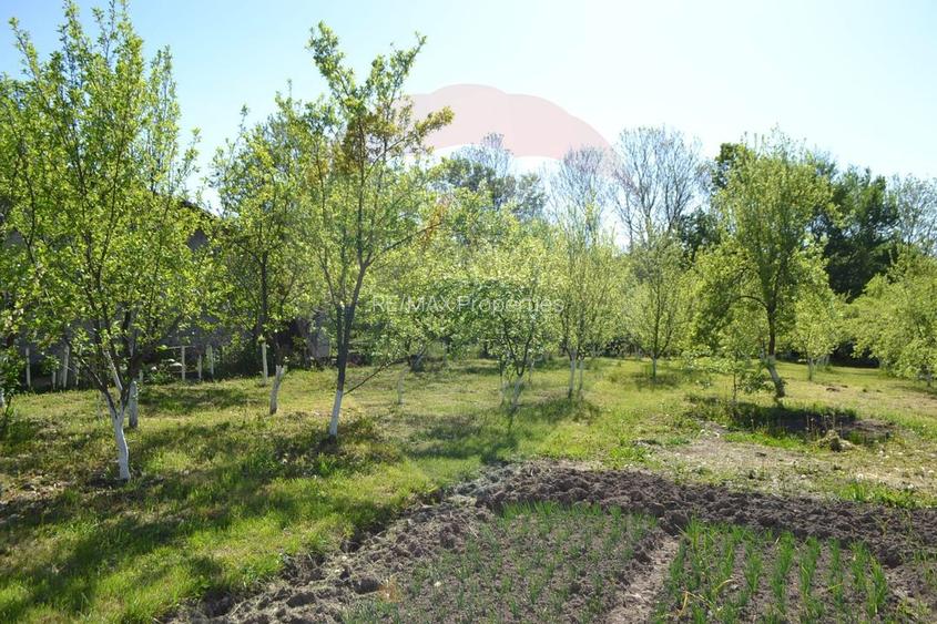 Casă / Vilă de vânzare Picior de Munte, Dambovita - 5