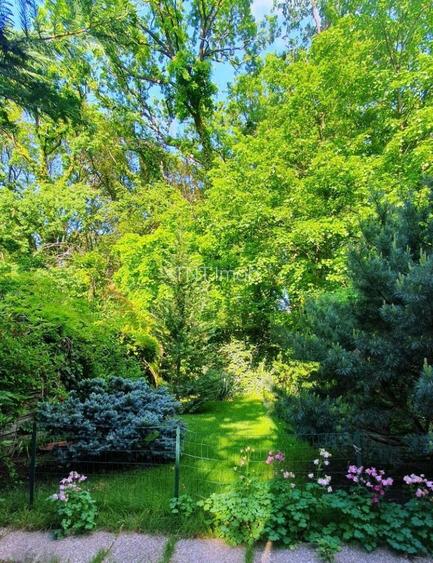 Vila Individuala P+1+M | 5 camere | 2 Bai | 2 parcari | M Paris Academie Politie - 12