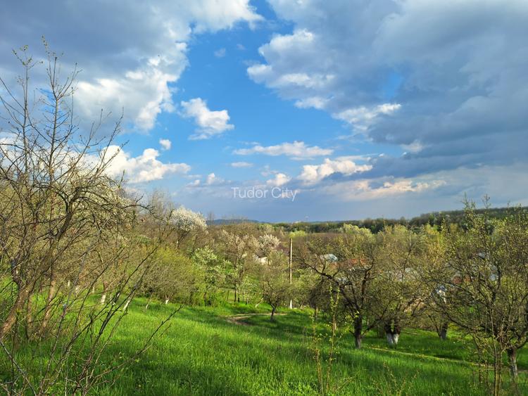 Moșia boierească din vârf de deal, Scorțeni - Prahova, comision 0% - 8