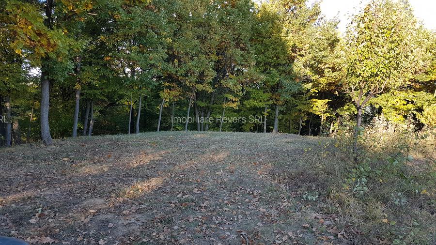 Teren livadă cu panoramă superbă Dealul Malului pentru casă sau cabană - 20