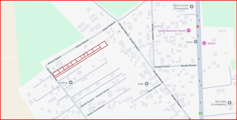BALOTESTI – SAFTICA, LOT 460 MP! - 5