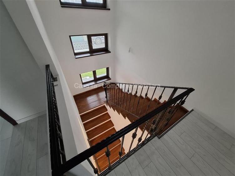 Vila deosebita Popas Pacurari - 2