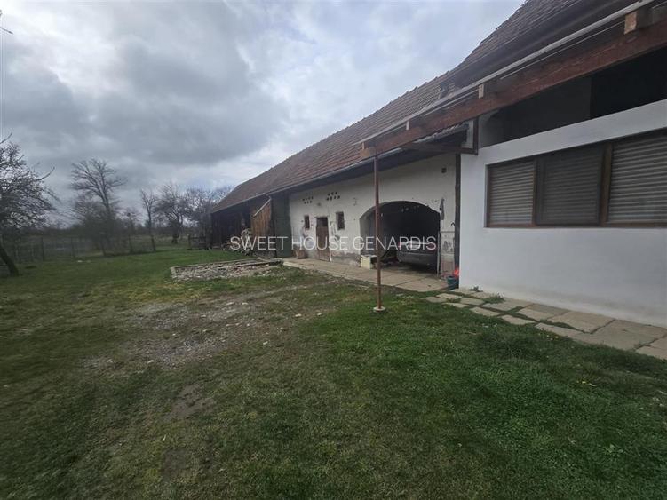 Spatiu Liniste si Libertate la poalele Muntilor - 9