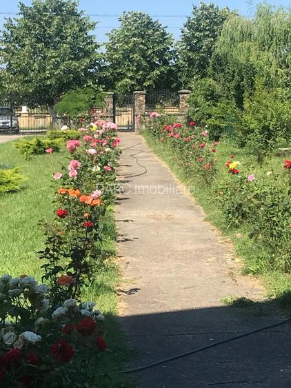 Vila spatioasa, teren generos - Crasna, Gorj - 5