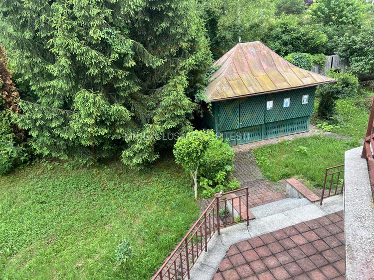 Acasă la Bascov- Județ Arges cu peisaj de poveste - 3
