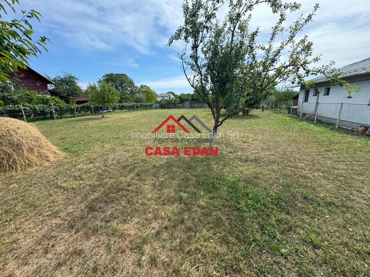 ●Teren in Campina--920mp--28.000e● - 10