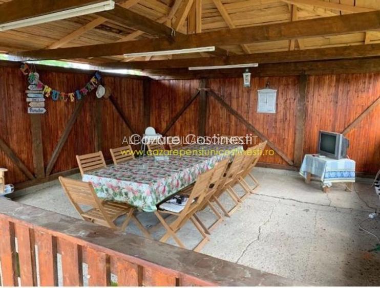 PENSIUNE 8 UNITATI DE CAZARE - COSTINESTI - 31