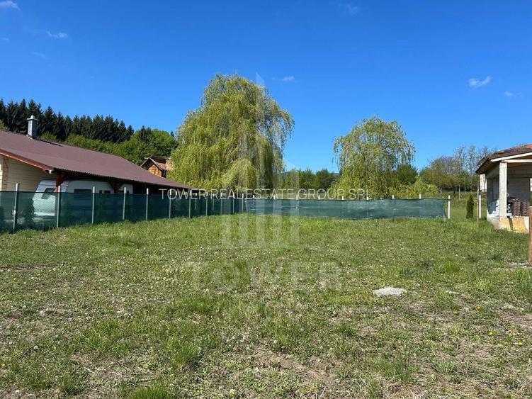 TEREN 600 MP | VEDERE PANORAMICĂ | LA MARGINEA PĂDURII | Tocile, SIBIU - 2