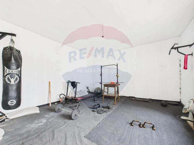 Proprietate speciala Dragomiresti Deal -Teren 15000 mp - 16