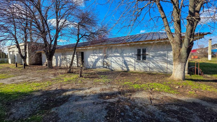 De vanzare spatiu industrial in Turnu Magurele - Teleorman - 51