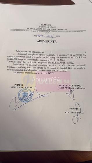 Teren 16.300 mp Mogoșești, investiție și parcelare | Adunatii Copaceni - 8
