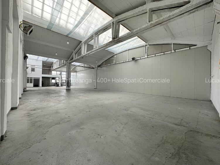 Hala/ showroom, 231mp, zona Carrefour Felicia, Kaufland - 12