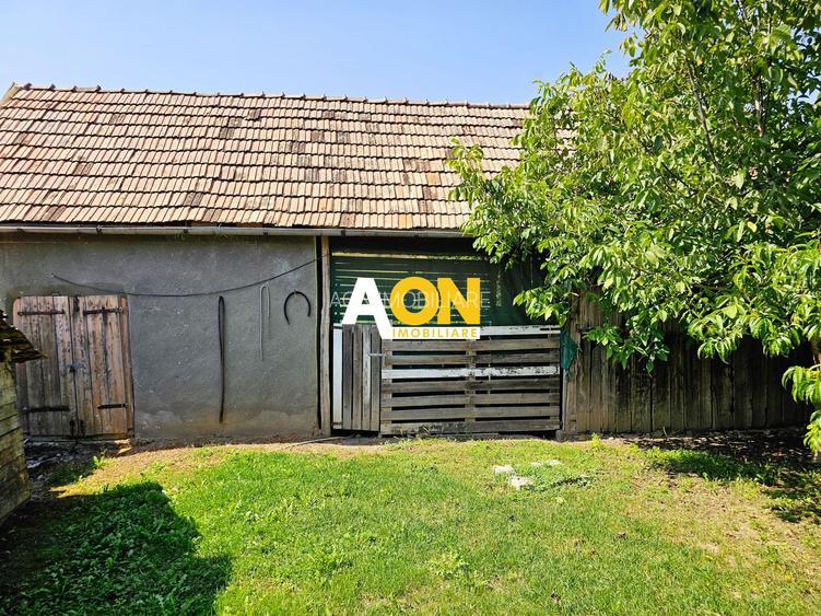 Casă batranească, 3 camere, 2200 mp teren, sat Bucerdea Grânoasă - 13