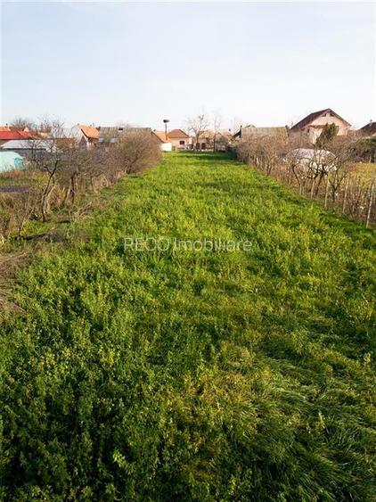 RECO Teren in nojorid - 10