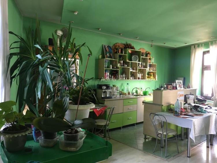 Casa cu spațiu și vad comercial, Băita (centru) - 7