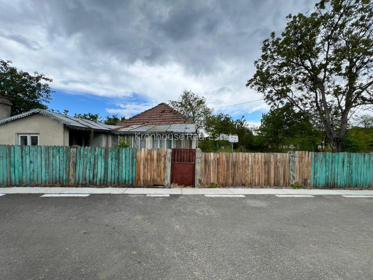 Casa + teren 4430 mp, vie si pomi fructiferi, 22 km de Tecuci - 30