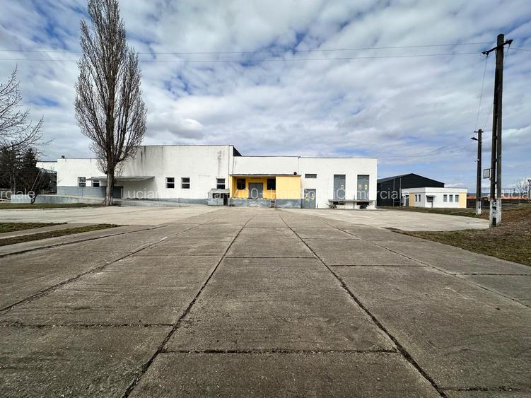 Hale/ spatii de inchiriat in jud. Iasi, Pascani, de la 500mp la 5000mp - 36