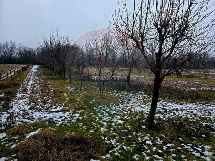 Teren intravilan 4,516mp Doina - 28