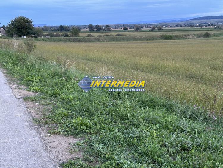 OKAZIE ! 2300 mp. Teren Intravilan Mereteu lat 22 m toate utilitatiile in fata - 8