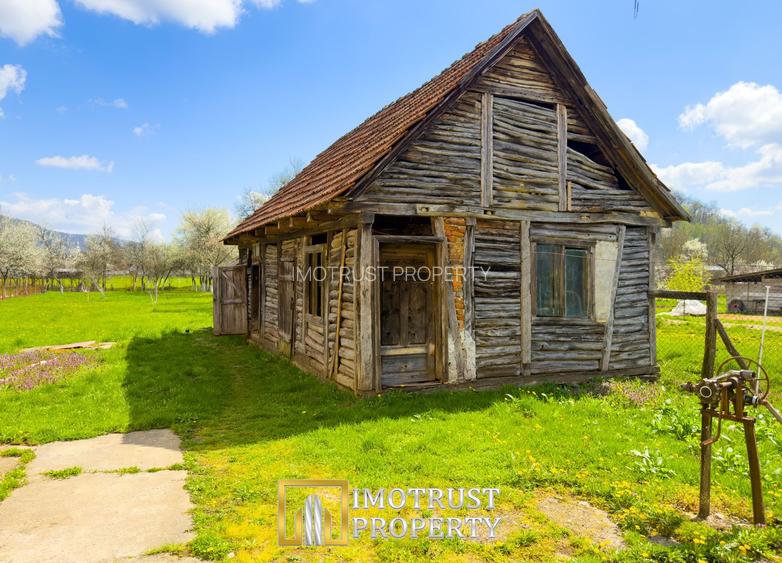 Colț de natură: casă + teren mare în Săvârșin - 6