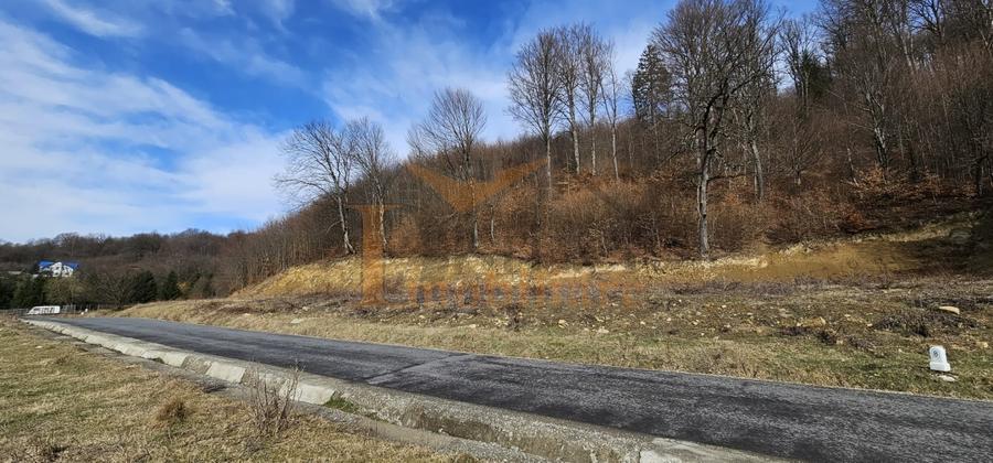 Vanzare teren 3200 mp, Cheile Rasnoavei, str. Cheisoara