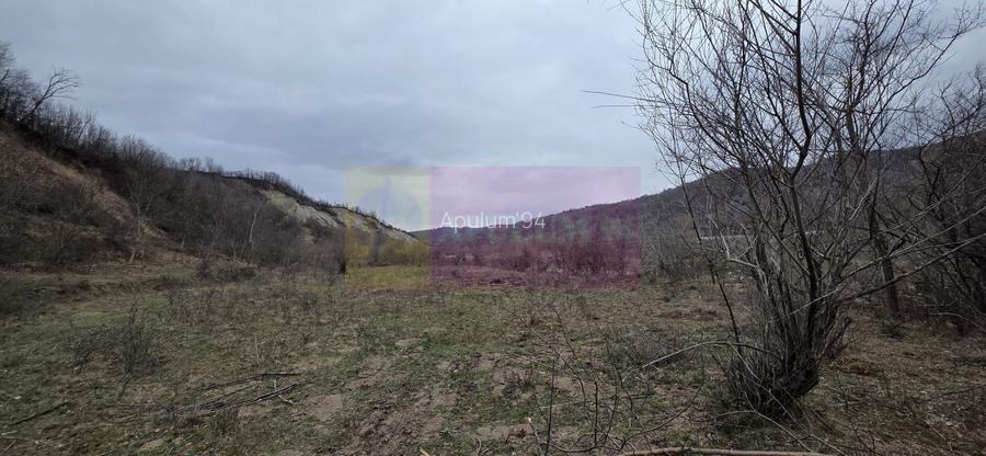 Teren de vanzare in Brebu - Raul Doftana - 4