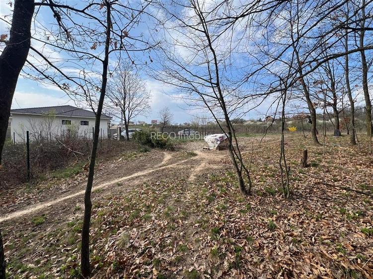 RECO Teren Saldabagiu de Munte - 6