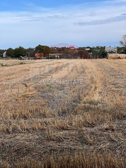 Teren intravilan de vanzare - 3