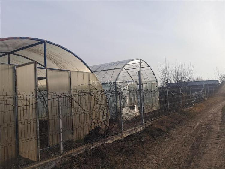 Teren 633mp imprejmuit in centru Domnesti/posibilitate schimb - 2