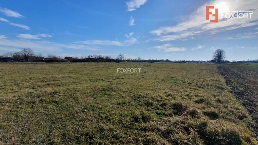 Teren intravilan 665 mp cu Puz aprobat - Padureni - 3