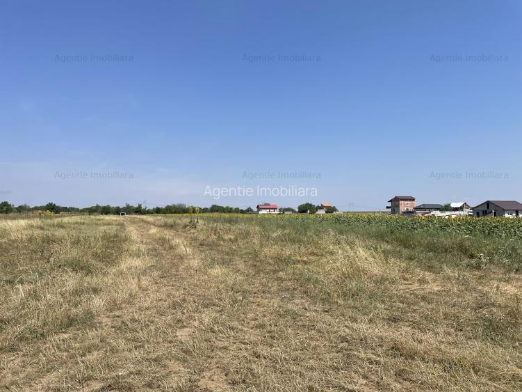 Teren Postavari - Frumusani - 1956 mp - 4