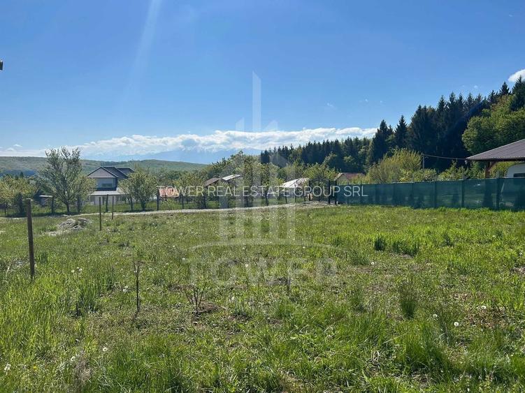 TEREN 600 MP | VEDERE PANORAMICĂ | LA MARGINEA PĂDURII | Tocile, SIBIU - 3
