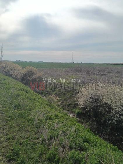 Săcălaz – Beregsău | Teren extravilan 1 ha | Potențial dezvoltare - 3