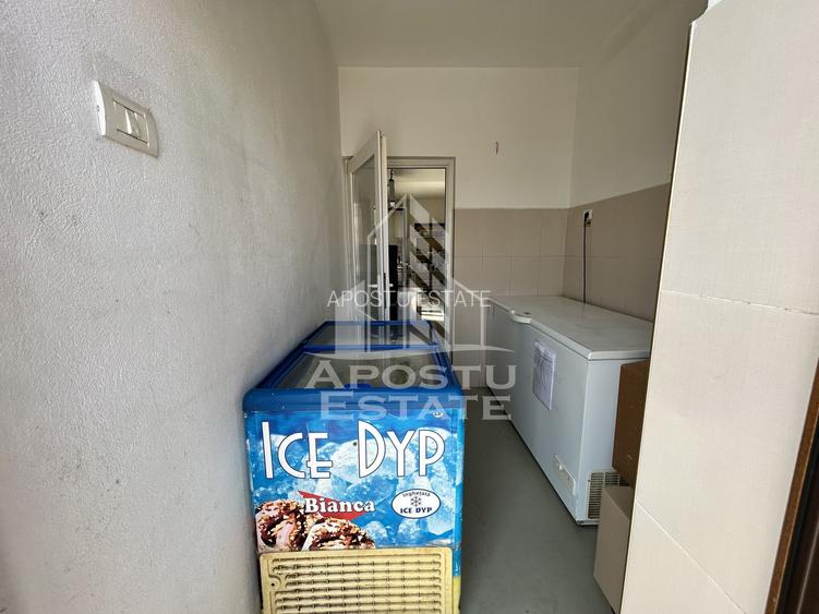 SAD de vanzare in EXCLUSIVITATE, 392 mp, 2693 mp teren, Sacalaz - 11