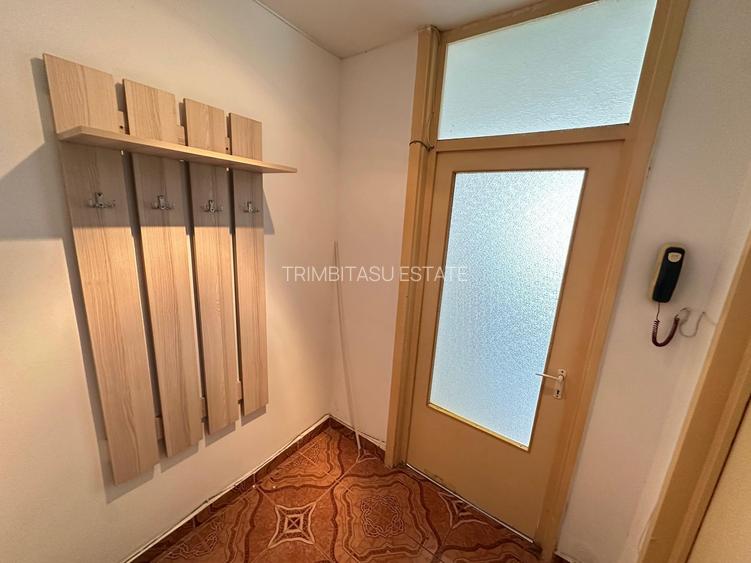 Garsoniera Delfinului 30 mp - 13