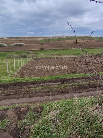 de vanzare teren extravilan/intravilan - 3