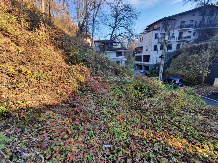 ZONA DEOSEBITA CU MULTA VERDEATA - 10