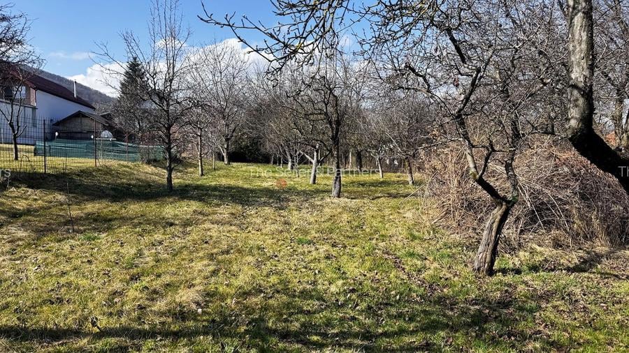 Suprafata generoasa de teren - 8