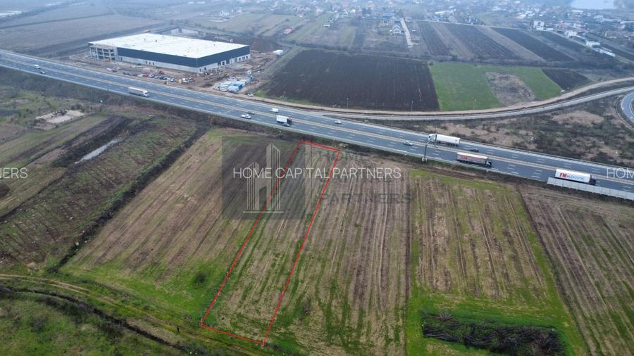 Teren 2727mp | Moara Vlasiei, Caciulati | A3 - 4