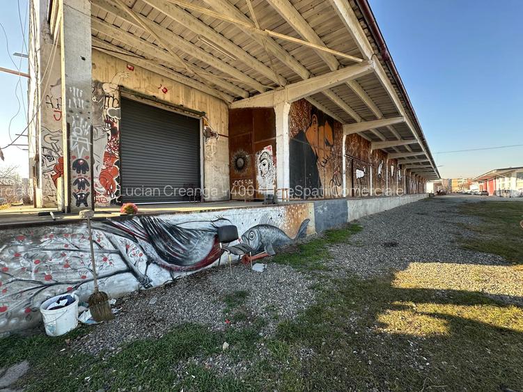 Hala renovata cu rampa de la 492mp la 1000mp, zona Carrefour Felicia - 9