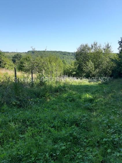 OPORTUNITATE: 4.400 mp la marginea PADURII, langa VILE NOI, toate UTILITATILE - 6