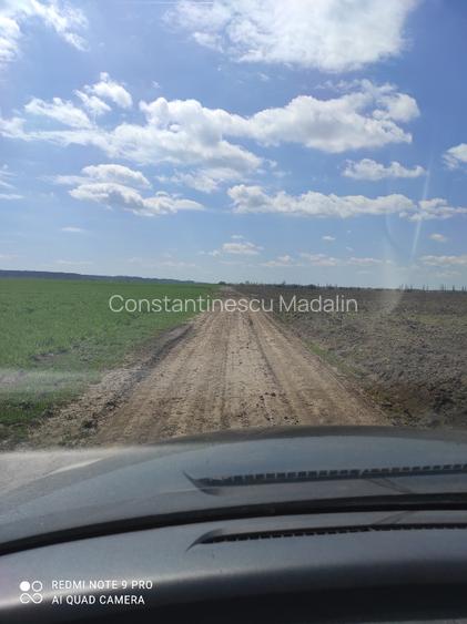 PROPRIETAR-Vand teren extravilan T27,T32,Crevedia DARZA judDB accept agentii 5 € - 2