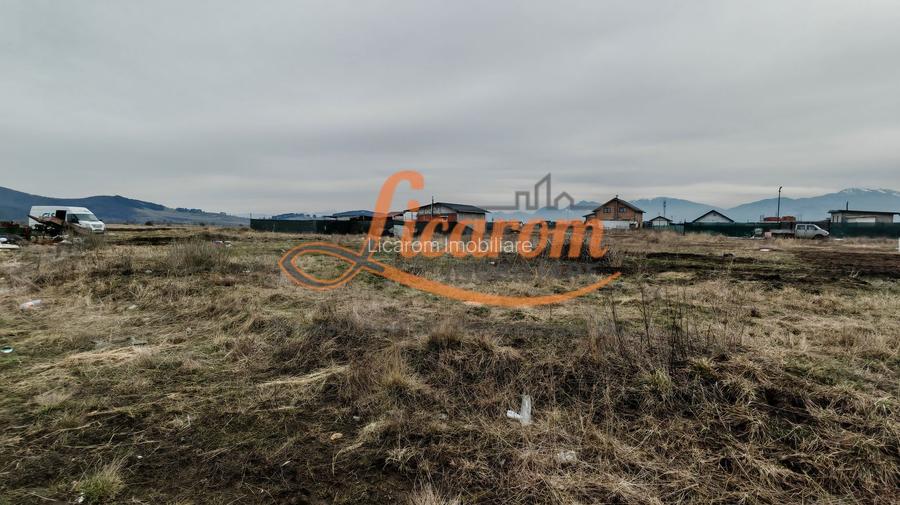 Teren intravilan in suprafata de 644 mp in Sanpetru pret 37000 euro - 4